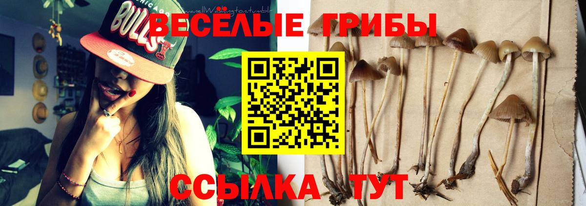 Галлюциногенные грибы Psilocybine cubensis  Вход с VPN  Ивантеевка 